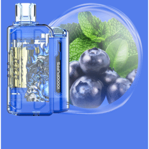 IGET FLARE B10000 Blueberry Mint Disposable Vape